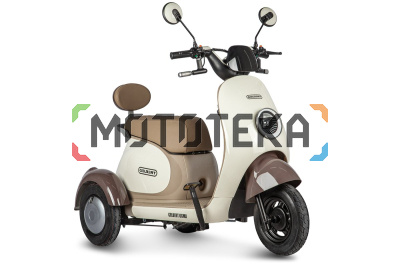 Пассажирский электротрицикл Rutrike (Рутрайк) Gelbert Ogma 48V/60V 650Вт